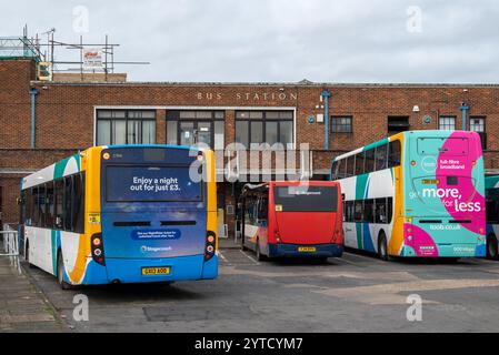 Stagecoach buses with bright livery at Chichester bus station.  December 2024. Stock Photo