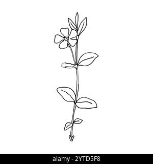 Minimalistic floral line drawing by hand. Decorative botanical elements, modern drawing in the form of botanical lines, floral tattoo design. Vector isolated illustration Stock Vector