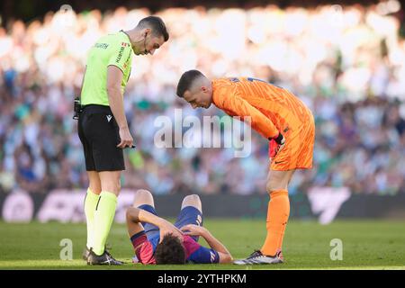 Spanish La Liga EA Sports soccer match Betis vs FC Barcelona at Benito Villamarin Stadium in Sevilla, Spain. 07th Dec, 2024. Cubarsi 900/Cordon Press Credit: CORDON PRESS/Alamy Live News Stock Photo