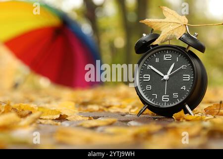 Autumn time. Alarm clock and umbrella in park, selective focus. Space for text Stock Photo
