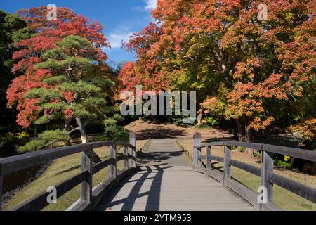 Autumn leaves in Hamarikyu Gardens, Tokyo, Japan. Hamarikyu Garden is located in central Tokyo, alongside Tokyo Bay, in Shiodome district. Stock Photo