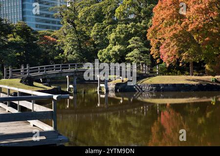 Autumn leaves in Hamarikyu Gardens, Tokyo, Japan. Hamarikyu Garden is located in central Tokyo, alongside Tokyo Bay, in Shiodome district. Stock Photo