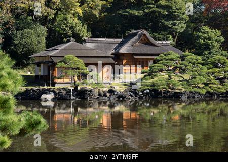 Autumn leaves in Hamarikyu Gardens, Tokyo, Japan. Hamarikyu Garden is located in central Tokyo, alongside Tokyo Bay, in Shiodome district. Stock Photo