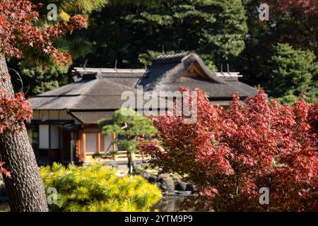 Autumn leaves in Hamarikyu Gardens, Tokyo, Japan. Hamarikyu Garden is located in central Tokyo, alongside Tokyo Bay, in Shiodome district. Stock Photo