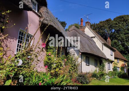 Wendens Ambo: Colourful thatched cottages and flowers in Wendens Ambo, Saffron Walden, Essex, England, UK Stock Photo