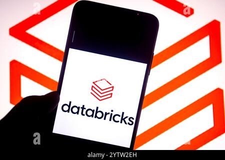 In this photo illustration, a databricks logo is seen displayed on a smartphone and in the background. (Photo by Avishek Das / SOPA Images/Sipa USA) *** Strictly for editorial news purposes only *** Stock Photo