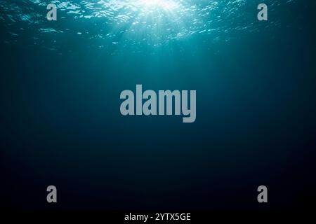 View to Water Surface, North Male Atoll, Indian Ocean, Maldives Stock Photo