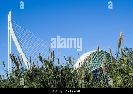 The City of Arts and Sciences (Ciudad de las Artes y las Ciencias) is located in the dry riverbed of the Río Turia. Modern contemporary architecture Stock Photo