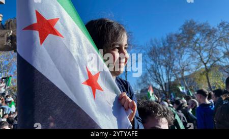 Syrians celebrate the Syrian government fall and end of Assad family's half-century rule Middle East in Istanbul, Turkey, December 8, 2024. (CTK Photo Stock Photo