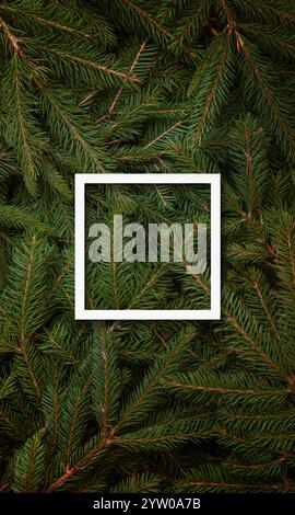 Square white frame centered over Christmas tree branches, designed for text promotion, with a festive and decorative holiday background Stock Photo