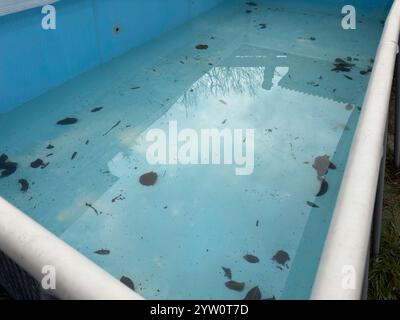 Garden pool in winter with leaves and dirt on the ground Stock Photo