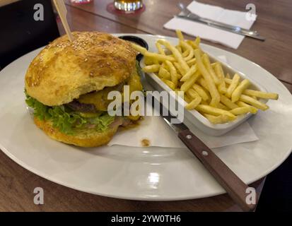 Homemade cheeseburger with salad and fries Stock Photo
