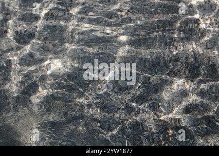 A serene capture of water texture in a lake, showcasing gentle ripples and shimmering light reflections. The small waves create a dynamic yet calming. Stock Photo