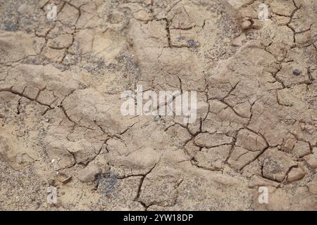 A close-up of dry, cracked earth, showing the texture of soil that has been parched by prolonged drought. Stock Photo