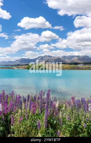 Lake Tekapo New Zealand Stock Photo - Alamy