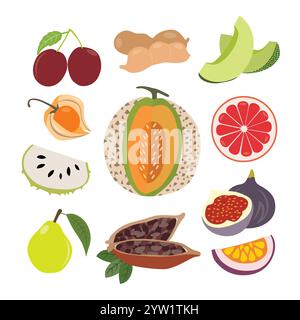 A Diverse Selection of Delicious Fresh Fruits Stock Vector
