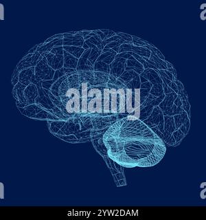 Wireframe of the human brain of the blue lines with glowing lights ...