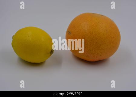 Health, healthy foods, fruits, suitable nutrition. One yellow lemon and one red-orange grapefruit placed on a white matte background. Stock Photo