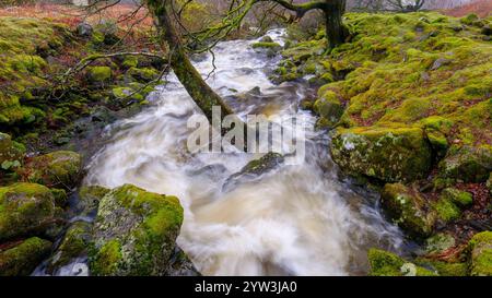 Keswick, UK - March 14, 2024: Ashness Bridge near Derwent Water, Lake District Stock Photo