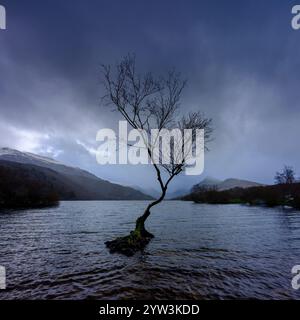 Llanberis, UK - March 1, 2024: View of Llyn Padarn, Snowdonia/Eyri National Park, Wales Stock Photo