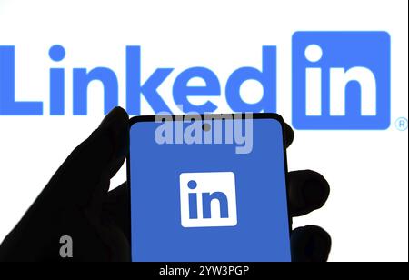 LinkedIn is the world's largest professional network on the Internet