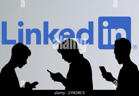 LinkedIn is the world's largest professional network on the Internet