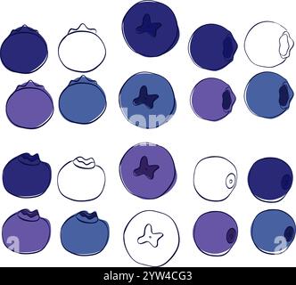 Blueberry line graphic icon set. vector illustration. Stock Vector