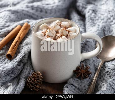 Cup of hot chocolate with marshmallows and cinnamon wrapped in a blanket Stock Photo