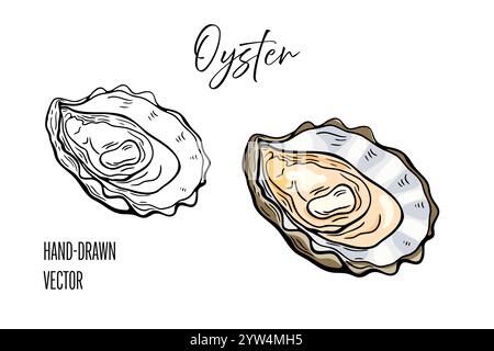 Seafood, oyster. Line drawing engraving vector, hand drawn food. Stock Vector