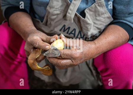 Women in Apron Hands Cut and Peel a Potato Close-Up Stock Photo