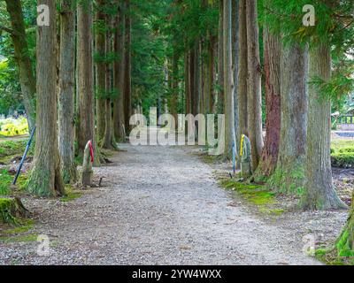 Ganmokuzan Ryusenji Temple in Kamiichi (Toyama/Japan) Stock Photo