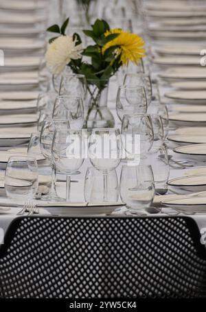 Glasses and plates on long table at wedding reception Stock Photo