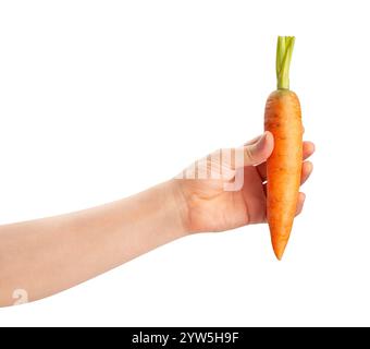 carrot in hand path isolated on white Stock Photo