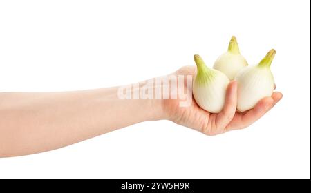 white young onion in hand path isolated on white Stock Photo