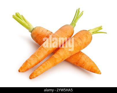 carrots path isolated on white Stock Photo
