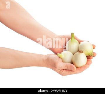white young onion in hand path isolated on white Stock Photo