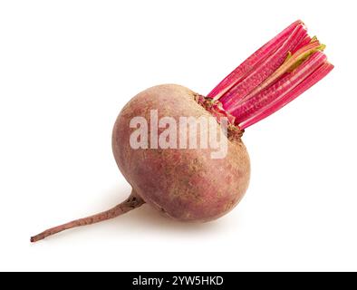 beets path isolated on white Stock Photo