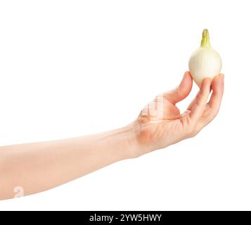 white young onion in hand path isolated on white Stock Photo
