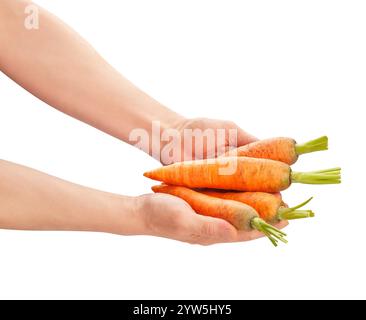 carrots in hand path isolated on white Stock Photo