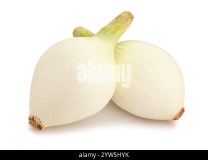 white young onion path isolated on white Stock Photo