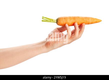 carrot in hand path isolated on white Stock Photo