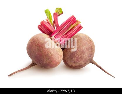 beets path isolated on white Stock Photo
