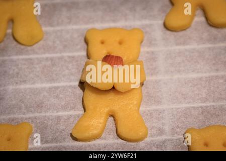 Adorable bear shaped homemade sugar cookies holding an almond in its paws on a baking sheet, ready for the oven, Christmas time holiday baking Stock Photo