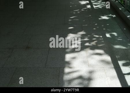 Black silhouettes and shadows of plants and trees on the street. sidewalk, concept of pedestrians, slow city, society, city life Stock Photo