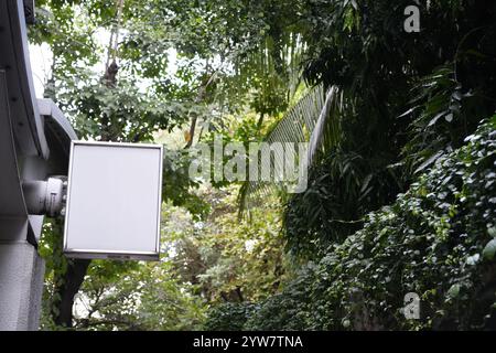 Blank white signboard on the wall outdoor, mock up, with green plant and tree background Stock Photo