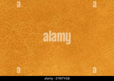 Vibrant yellow color abstract textile pattern for background. Close-up detail macro photography table top view of bright gold colored surface level fa Stock Photo