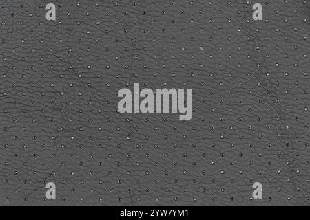 Abstract artificial leather in black with small dots and holes pattern. Tabletop view of pebble-colored breathable surface in level with background, s Stock Photo