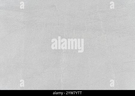 Light gray color abstract synthetic leather pattern for design element. Close-up of shade nacreous white tone surface level artificial leather Stock Photo