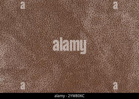 Brown color fabric material with short pile fluffy and soft texture background. Image of tawny surface level fabric cloth, brownish colored background Stock Photo