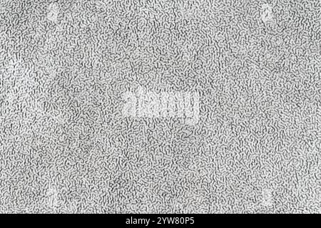 Gray color fabric cloth with short haired fluffy and soft abstract texture background. Silver colour surface textile material, colored background fabr Stock Photo